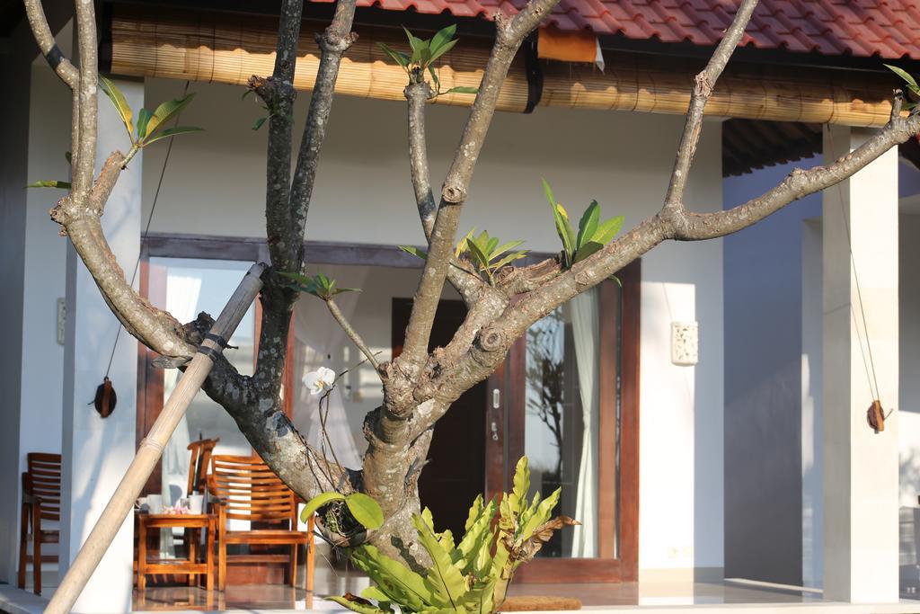 Soka Amed Beach Quarto foto
